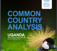 Uganda Common Country Analysis