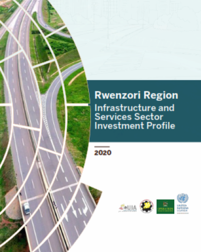 Infrastructure and Services Sector Investment Profile - Rwenzori Region