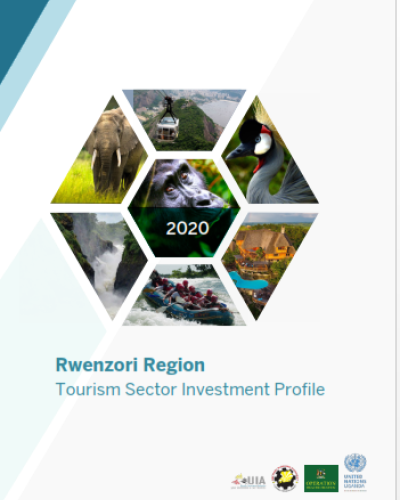 Tourism Sector Investment Profile - Rwenzori Region