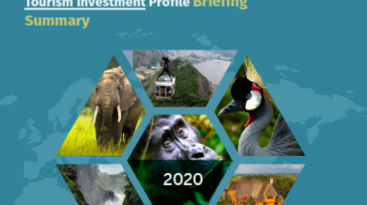 Briefing Summary of Tourism Sector Investment Profile - Rwenzori Region