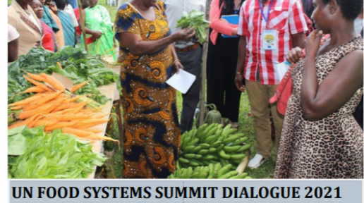 U Report Poll Results for Uganda for the UN Food Systems Summit Dialogues 2021