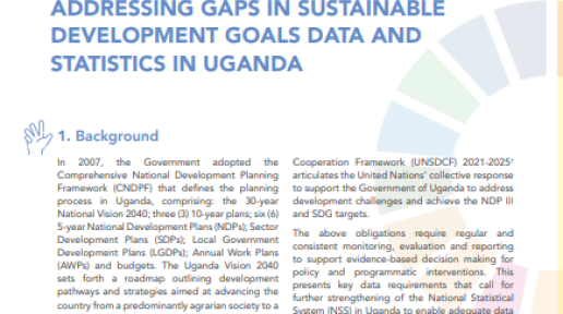 Brief of the Joint Programme for Data and Statistics in Uganda 2023-2025